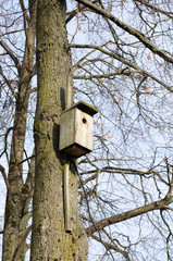 Wooden Birdhouse on Tree