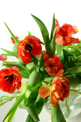 Naklejka premium Tulpen