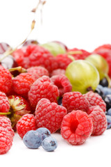 different kinds of berries