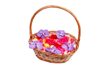 Fototapeta na wymiar beautiful petals in the basket