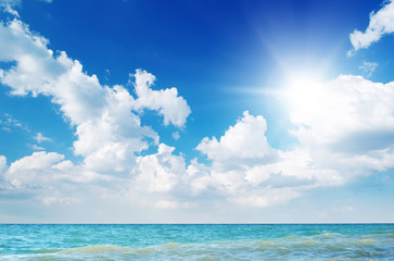 Fototapeta premium Beautiful coast of beach at day. Nature composition.