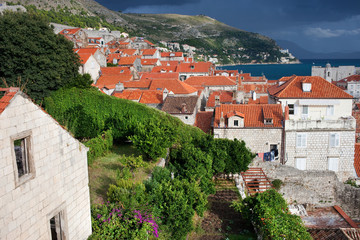 Obraz premium Dubrovnik Old City