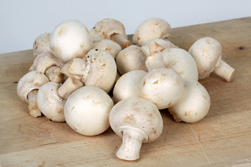 Rohe Pilze