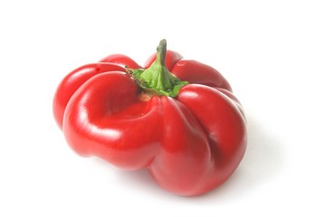 bulgarian Red pepper over white.