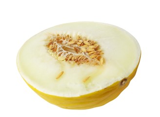 yellow melon isolated.