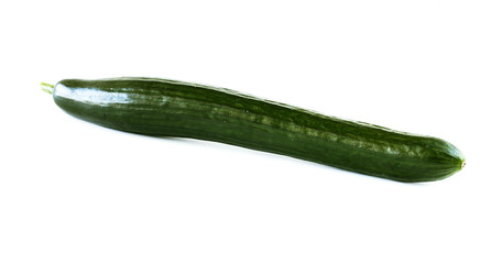 cucumber