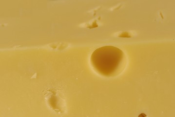 cheese
