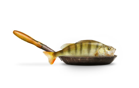 Bratfisch