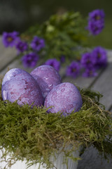 Easter still life close-up