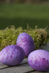 Three purple eggs lying on a table