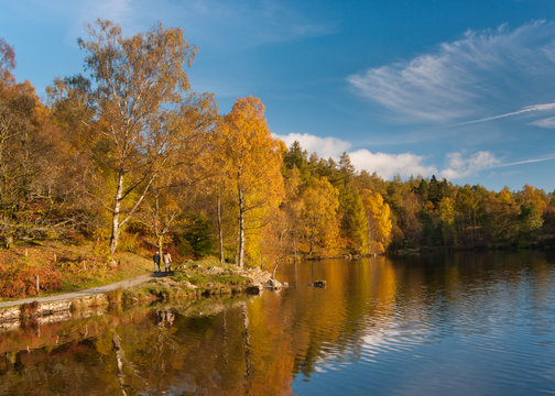 Tarn Hows In Autumn