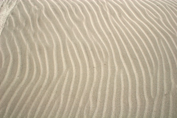 ripples in the sand