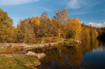 Tarn Hows in the English Lake District