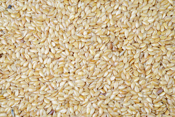Golden Linseed