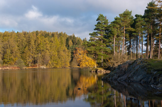 Tarn Hows Near Coniston