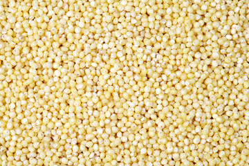 Millet Grain
