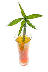 Glass jar with bamboo