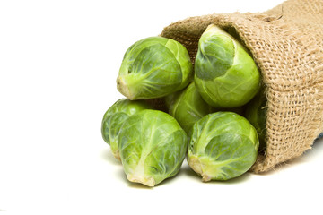 Sack of Sprouts