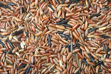 Red Camargue and Wild Rice