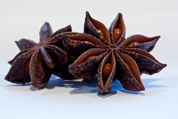 illicium verum