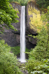 Latourell Falls in Oregon
