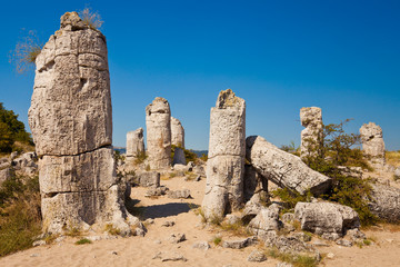 Obraz premium Pobiti Kamani Landscape in Bulgaria