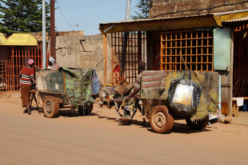 Obraz premium africa