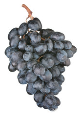 Grape fruit