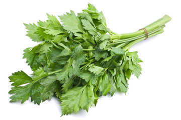 Fresh celery herb