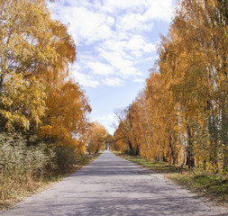 Beautiful autumn landscape with a road on a clear day