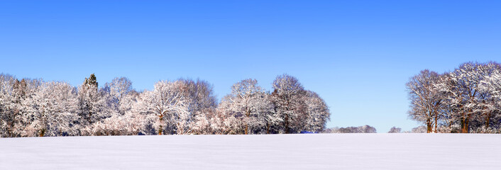 Snow panoramic landscape