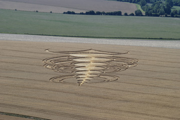 Crop circle in corn field. Wiltshire. England © nickos