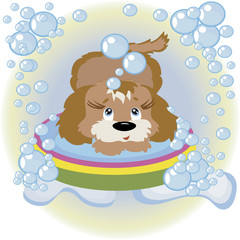 Puppy in the bathroom.