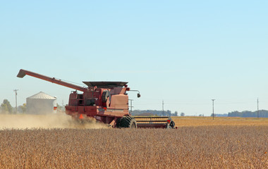 Fototapeta na wymiar Harvesting Soybeans