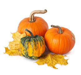 Pumpkins and yellow leaves, isolated on white.