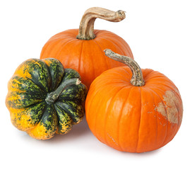 pumpkins on a white background