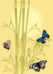 Fototapeta na wymiar bamboo and three color butterflies
