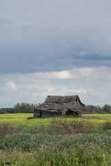 An abandoned house in a field