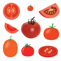 vector set of tomato on the white background