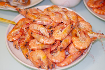 Shrimp