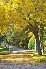 Naklejka premium Parque otoñal