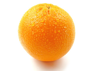 Orange Fruit on white background