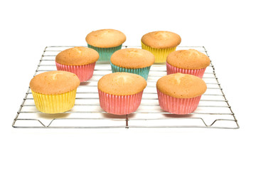 Cooling Cupcakes