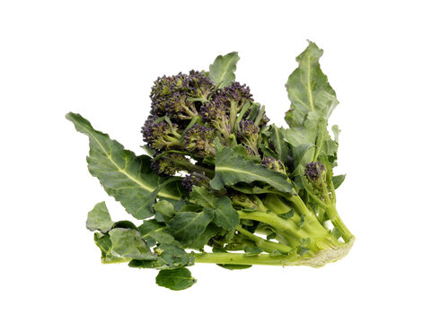 Purple Sprouting Broccoli