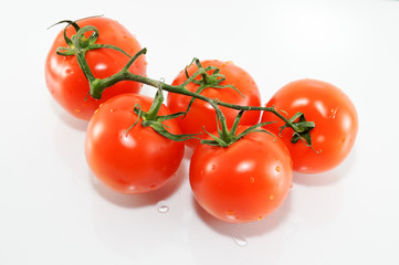 Tomatoes on a branch