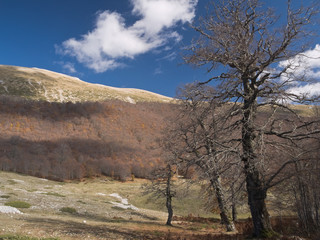 Obraz premium Parco Nazionale d'Abruzzo - Autunno