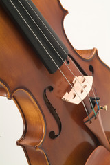 violin ribs