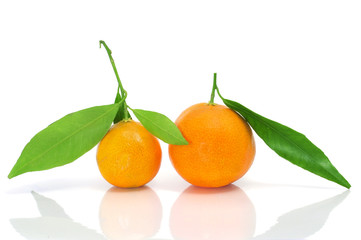 tangerines