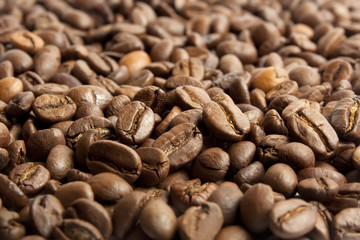 Coffee beans.