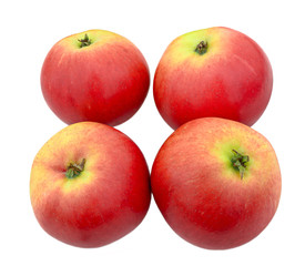 Fototapeta na wymiar Four red apples with a green blush